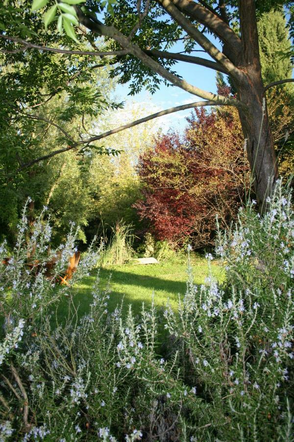Gite Derriere Les Oliviers -Le Mas De La Cigale Bleue Caumont-sur-Durance ภายนอก รูปภาพ